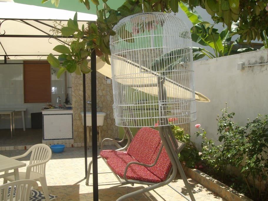 Villa Villino Claudia 30 Mt Mare Porto Cesareo Exterior foto